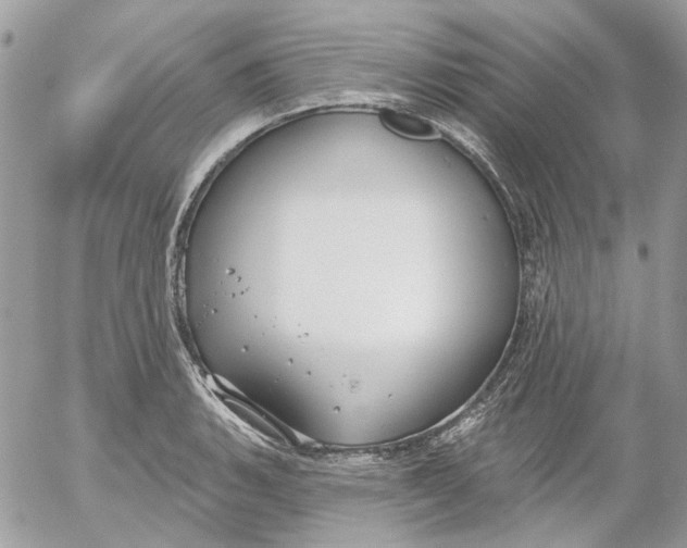 X0000052541135200507221419