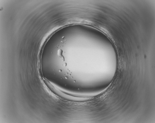 X0000052541136200507221419