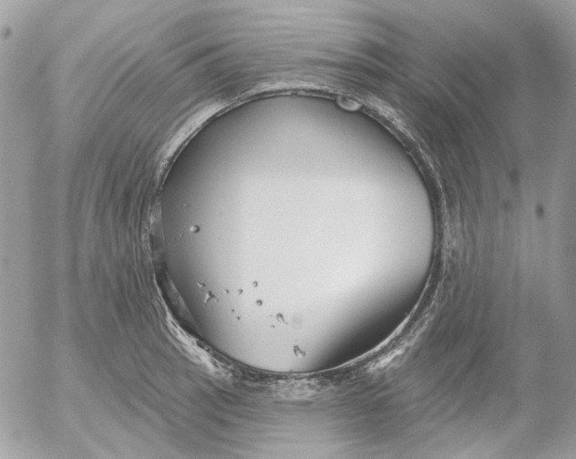 X0000052541137200507221419