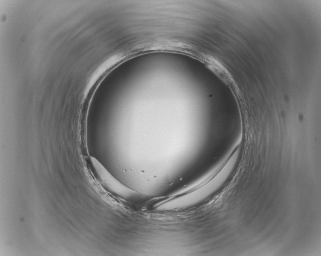 X0000052541138200507221419