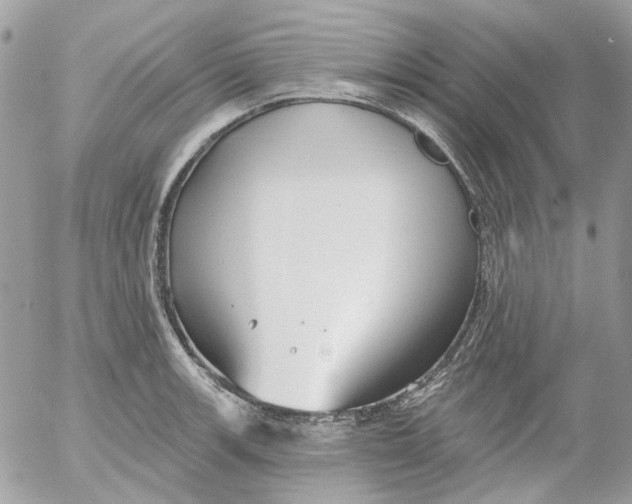 X0000052541139200507221419