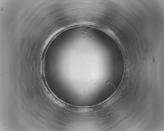 X0000052541140200507221419