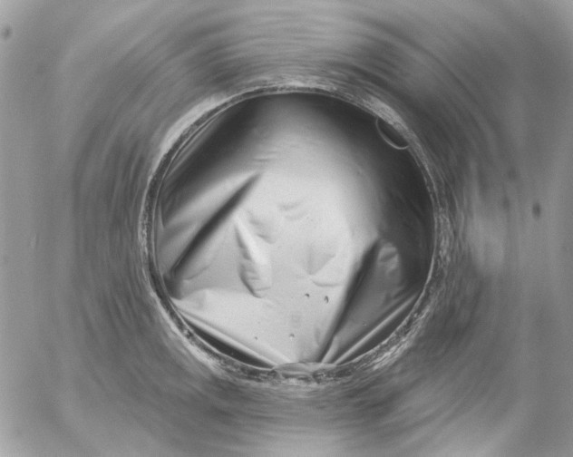 X0000052541141200507221419