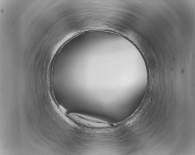 X0000052541142200507221419