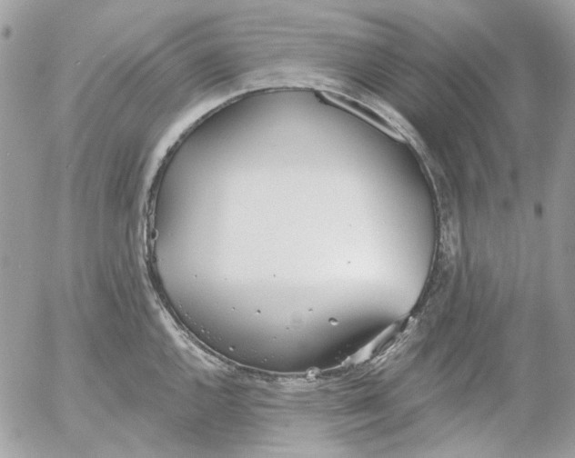 X0000052541144200507221419