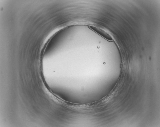 X0000052541147200507221419