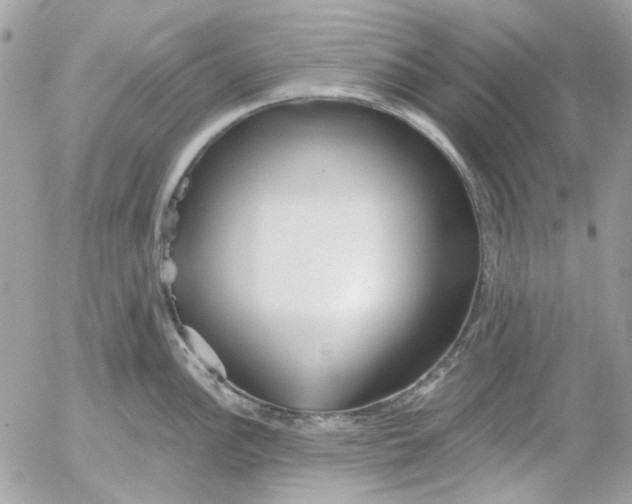 X0000052541148200507221419