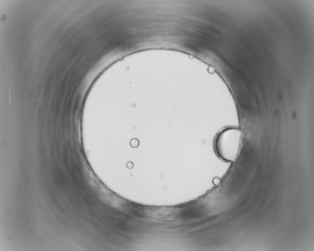 X0000052541150200507221419