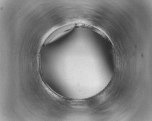 X0000052541151200507221419