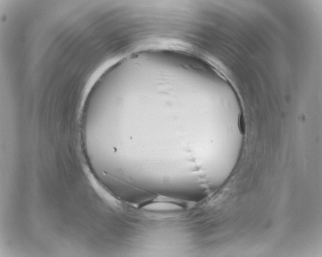 X0000052541152200507221419