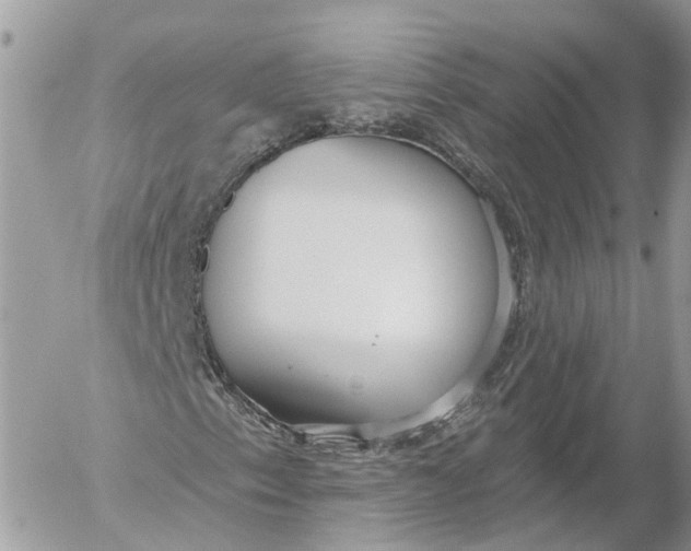 X0000052541153200507221418