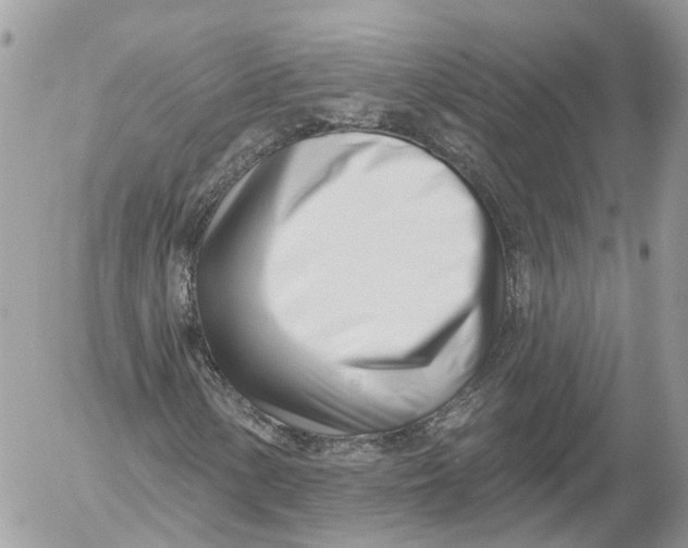 X0000052541154200507221418