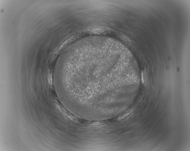 X0000052541155200507221418