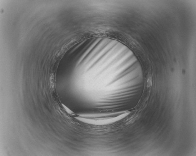 X0000052541156200507221418