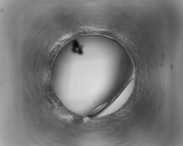 X0000052541157200507221418