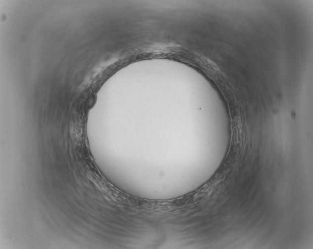 X0000052541158200507221418