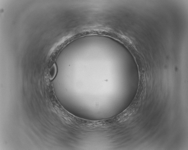 X0000052541159200507221418