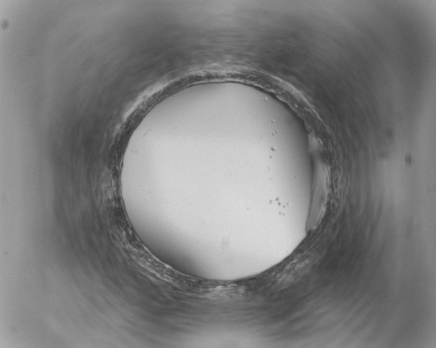 X0000052541160200507221418