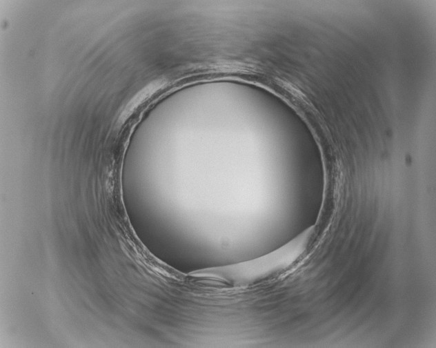 X0000052541163200507221418