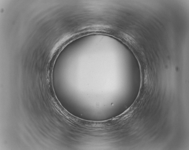 X0000052541164200507221418