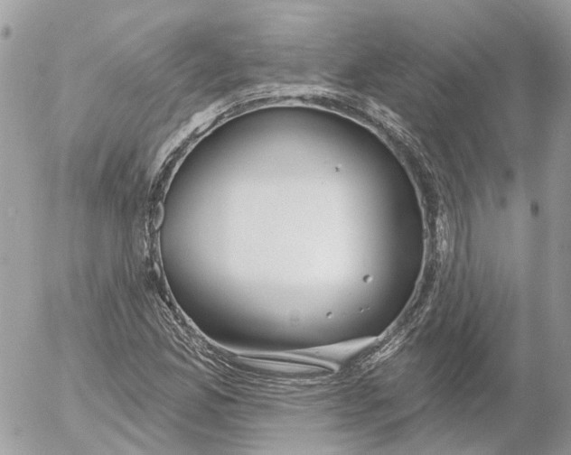 X0000052541165200507221418