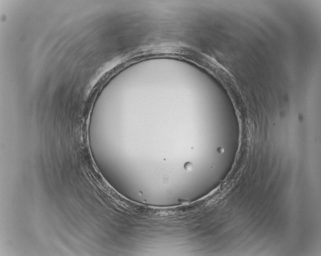 X0000052541166200507221418