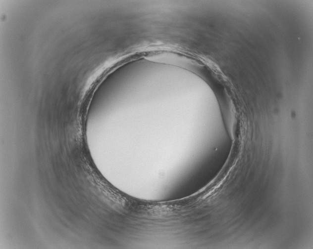 X0000052541167200507221418