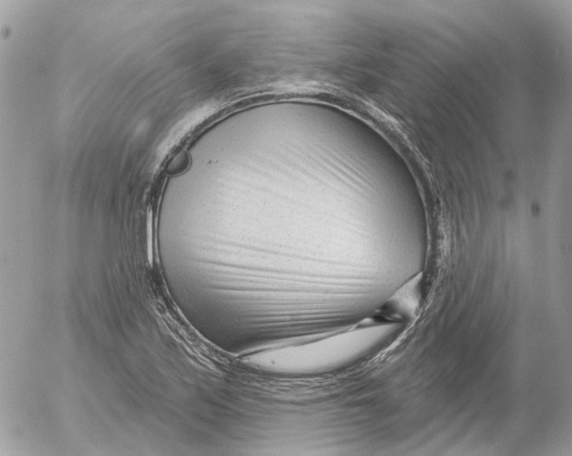 X0000052541171200507221418