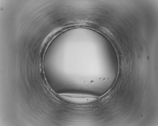 X0000052541172200507221418