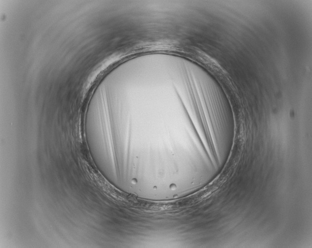 X0000052541174200507221418