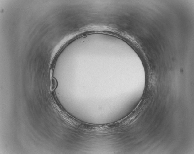 X0000052541175200507221418