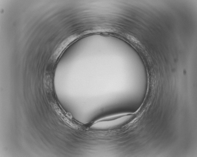 X0000052541177200507221418