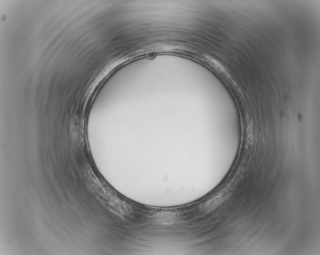 X0000052541178200507221418