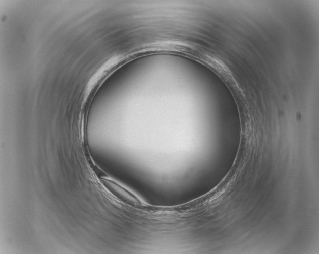 X0000052541180200507221418