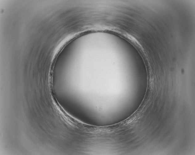 X0000052541183200507221418