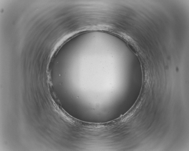 X0000052541184200507221418