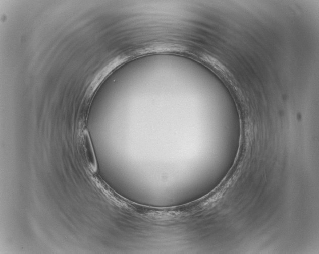 X0000052541185200507221418