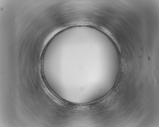 X0000052541187200507221418