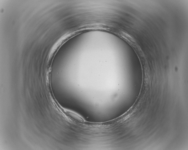 X0000052541188200507221418