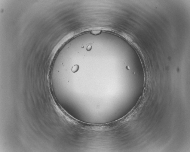 X0000052541189200507221418