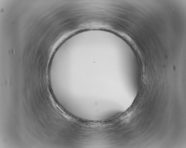 X0000052541191200507221418