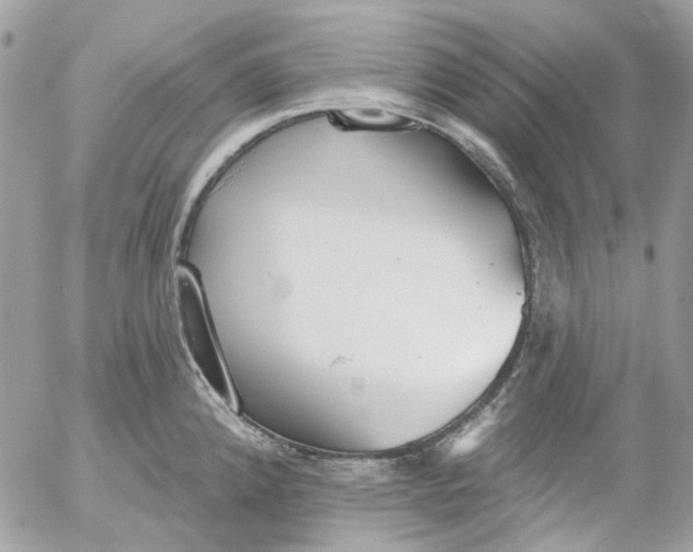 X0000052541192200507221418