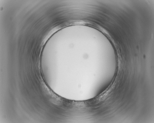 X0000052541194200507221418