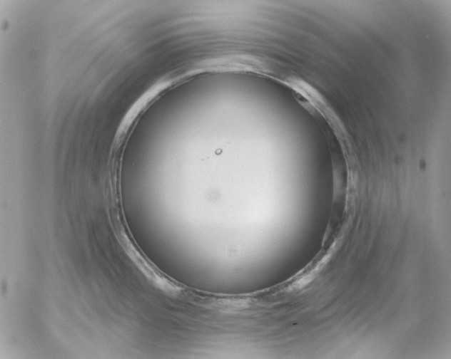 X0000052541196200507221418