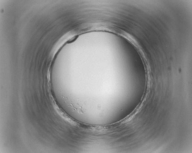 X0000052541198200507221418