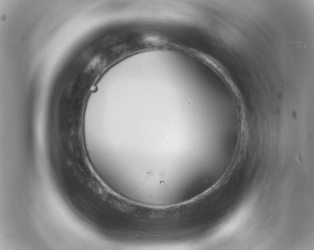 X0000052541199200507221418