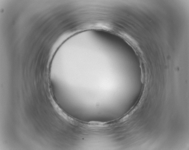 X0000052541200200507221418