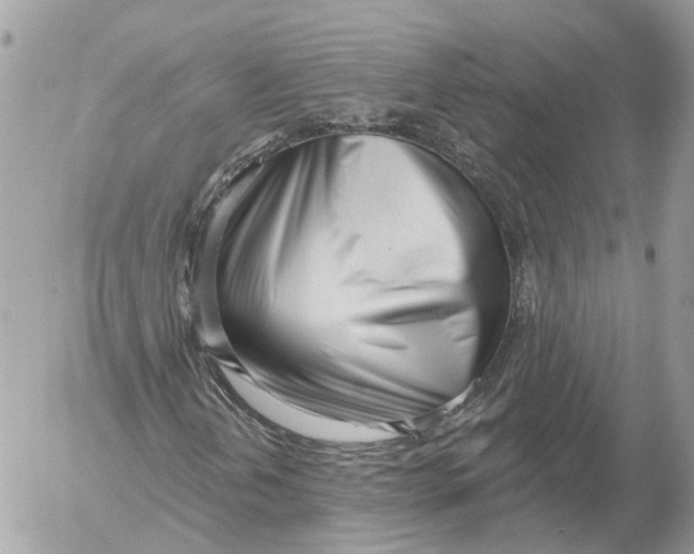 X0000052541202200507221417