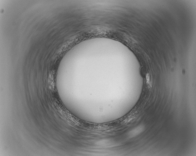 X0000052541203200507221417