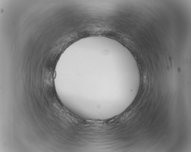 X0000052541204200507221417